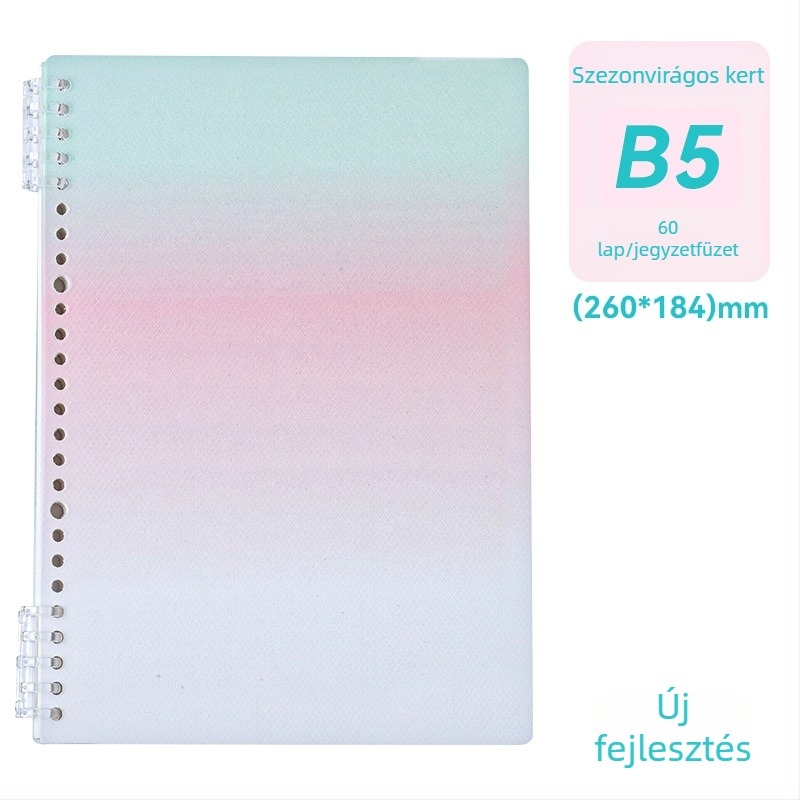 B5-ös oldalas notesz sárkányos mintás borítóval, diákoknak, levehető lapokkal