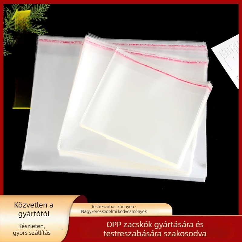 OPP átlátszó önzáró csomagoló tasak ruhákhoz, ékszerekhez és játékokhoz — porálló, műanyagból, logó nélkül