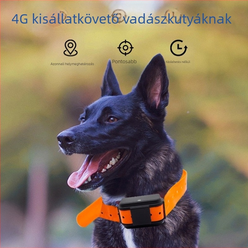 C011 4G GPS nyomkövető kutyáknak – intelligens nyakörv vadászkutyákhoz, az elvesztés elleni védelem