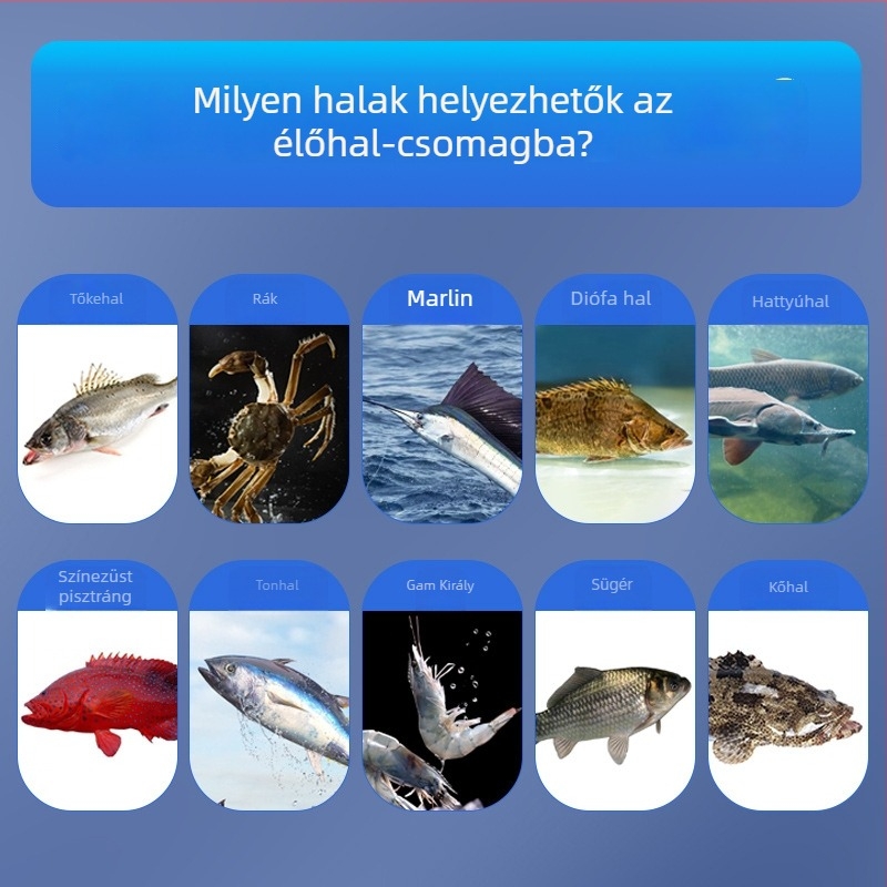 Élő halak oxigénnel történő szállítására szolgáló vastagított műanyag zacskó, csomagolás fiatal halak és élő halak számára, napi kapacitás 50 000