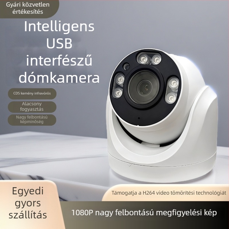 USB felügyeleti kamera mindent egyben TF-kártya bemenettel, HD 720p, félgömb alakú kialakítás ingatlanok megfigyeléséhez