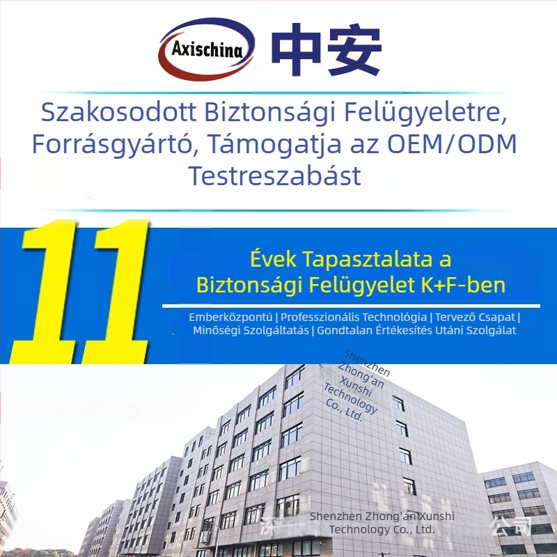 Vezeték nélküli IP-kamera kültéri használatra, PTZ-támogatással, 360° panoráma és HD éjjellátás