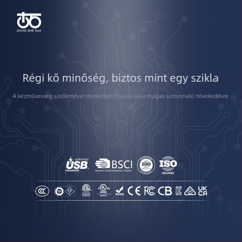 USB-C PD65W töltő egyetlen porttal, kimenet 20V/3.25A, bemenet 100-240V