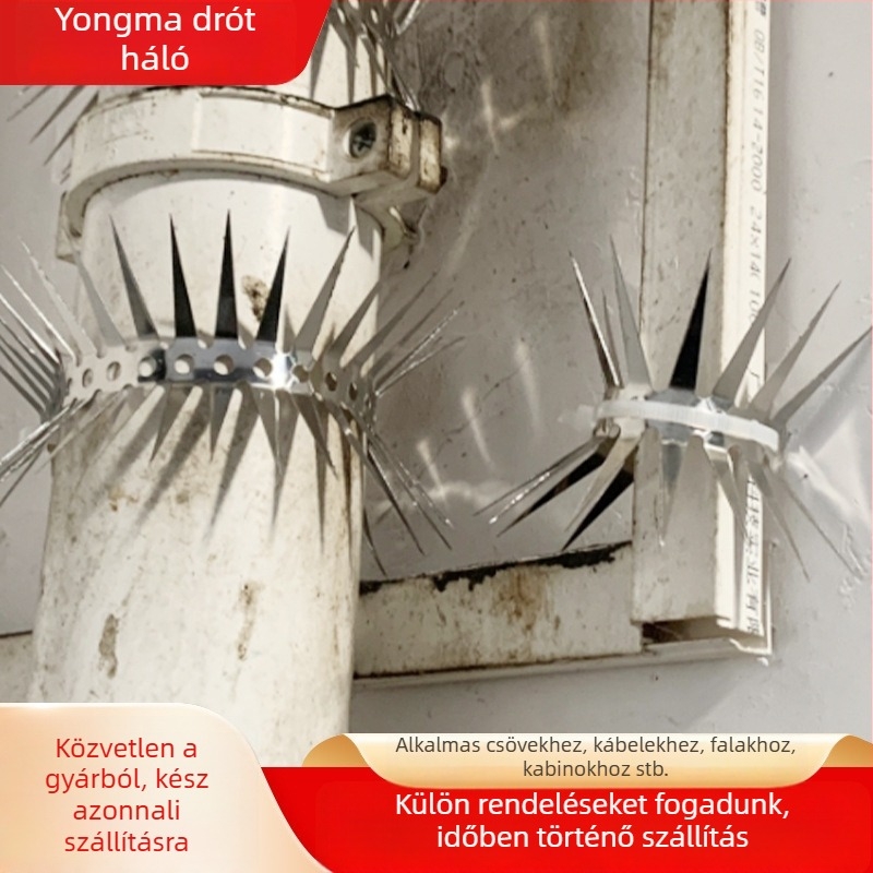Rozsdamentes acél anti-rodent tüskék vízcsövekhez – rozsdamentes acél, anti-rozto, anti-kígyó, csőre szerelhető (Nerūdijantis plienas; Vízcsövekhez; Anti-rodent; Anti-kígyó)