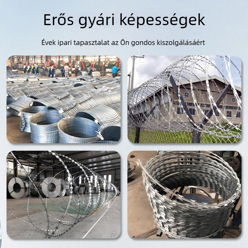 Vasúti tűződrót anti-mászás pengével — 304 rozsdamentes acél, egyrétegű csavarodás, SIRO-stílusú elrendezés, jobbkezes tekerés (RHRL), húzáserő 1500