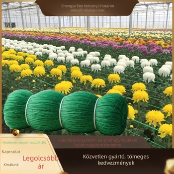 Kerti kapaszkodó háló növényekhez: újhagyma, metélőhagyma, zeller, uborka, bab és paradicsom; levél lehullása elleni háló; krizántémák támogató háló