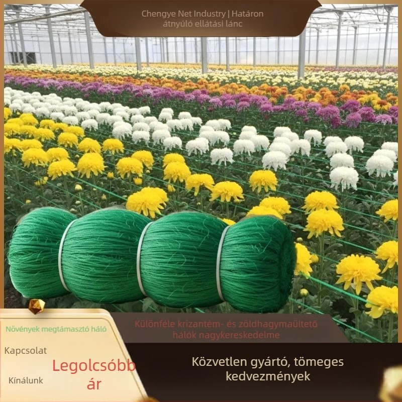 Kerti kapaszkodó háló növényekhez: újhagyma, metélőhagyma, zeller, uborka, bab és paradicsom; levél lehullása elleni háló; krizántémák támogató háló