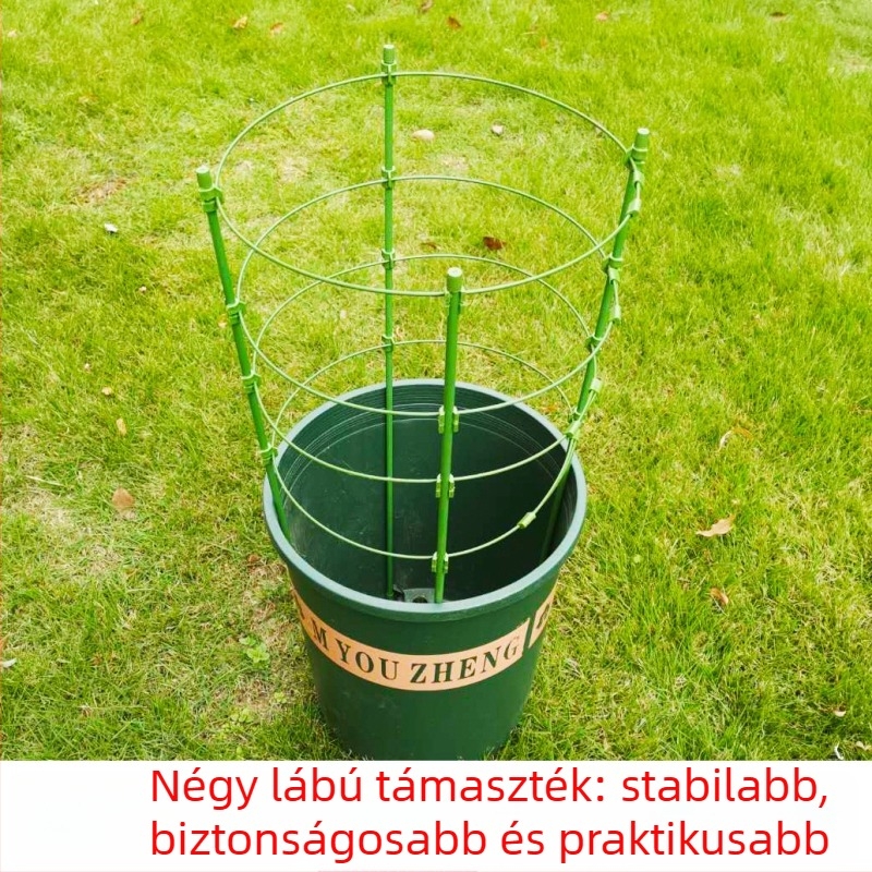 Beltéri műanyag futónövények kerete és virágtartó állványa