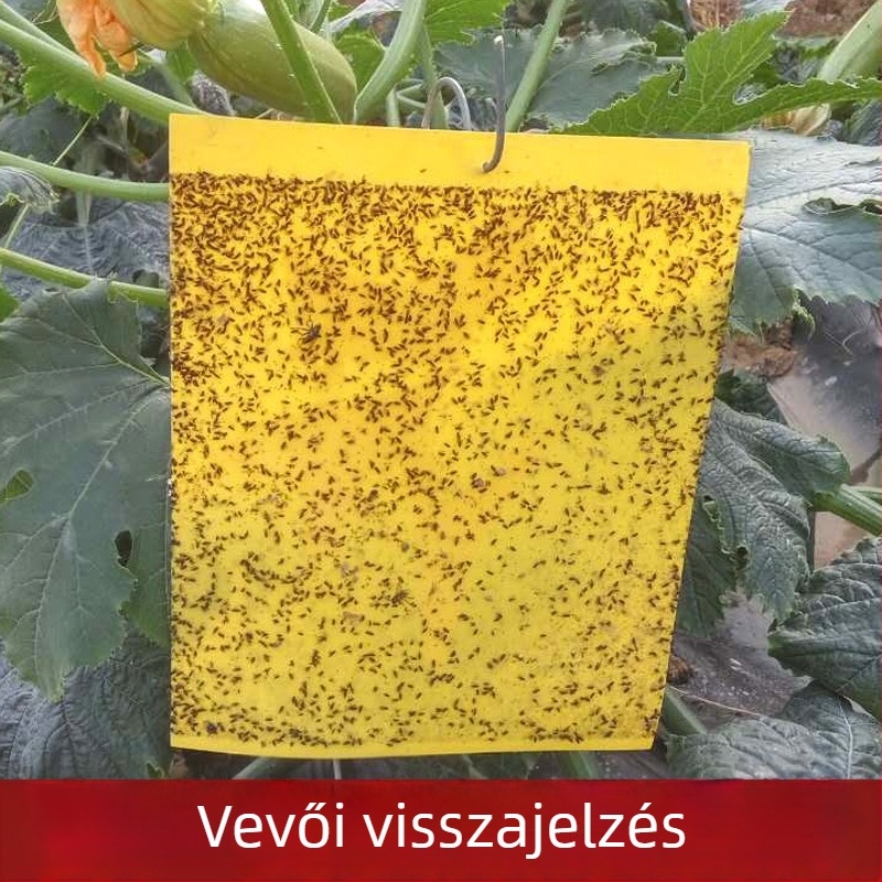 Ragasztó rovarlap, kétoldalas, sárga és kék, vízálló, csapda levéltetűkre, fehér legyekre és más apró repülő rovarokra