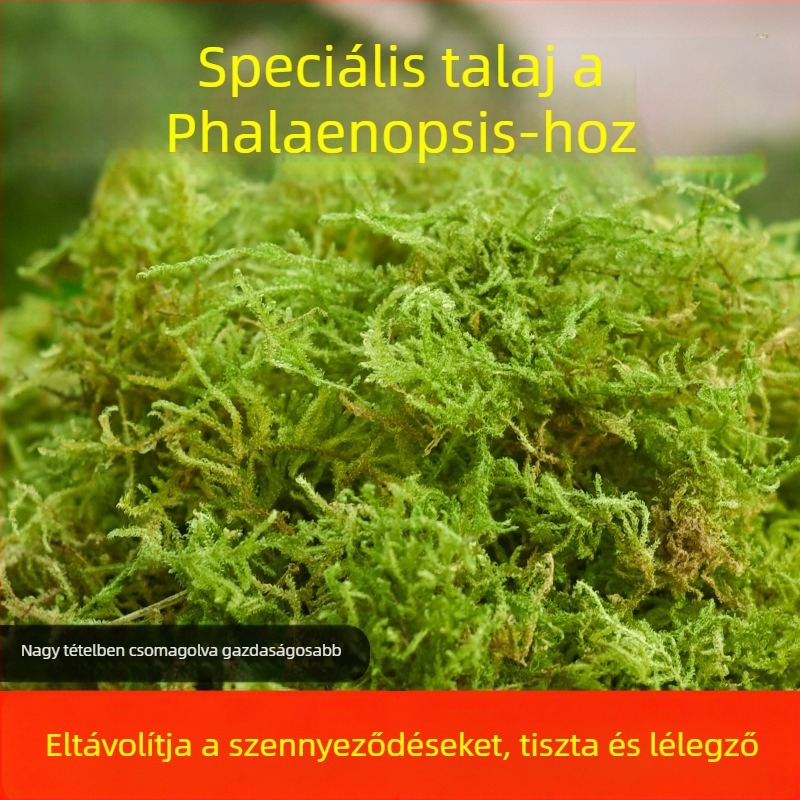Kertészeti dekoratív moha aljzat növények tápanyagban gazdag talajhoz