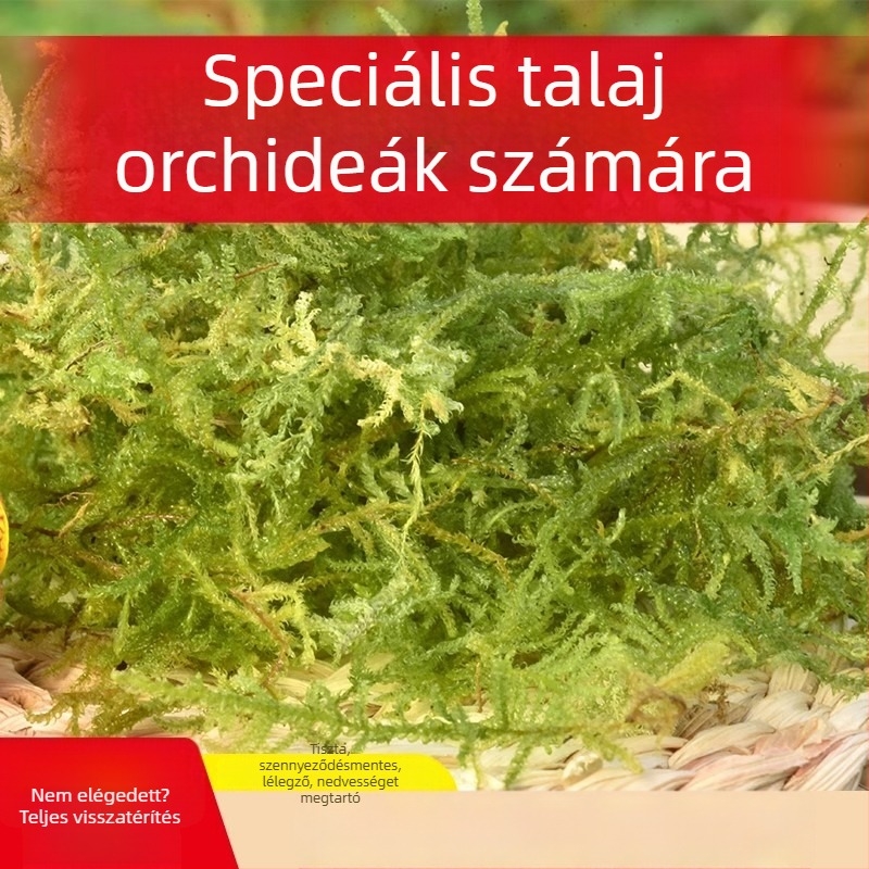 Kertészeti dekoratív moha aljzat növények tápanyagban gazdag talajhoz