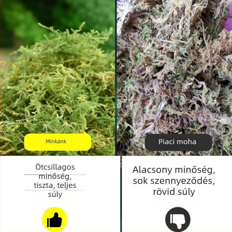 Kertészeti dekoratív moha aljzat növények tápanyagban gazdag talajhoz