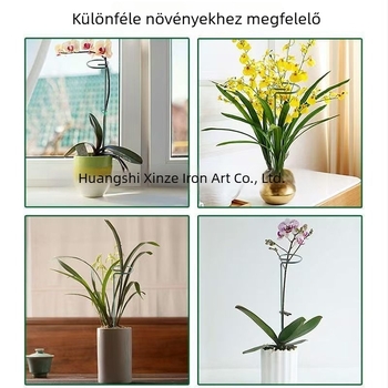 Xinze vasból készült oszlopos növény-támasztó állvány Phalaenopsis orchideák számára, 1 szint