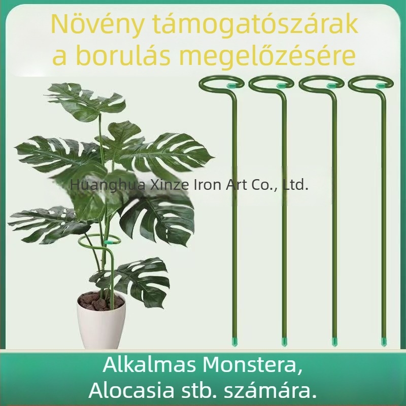 Xinze vasból készült oszlopos növény-támasztó állvány Phalaenopsis orchideák számára, 1 szint