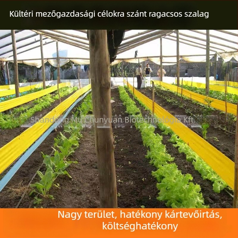 Kétoldalas, sárga ragadós csapdaszalag kártevők ellen – vízálló megoldás üvegházakhoz és gyümölcsfákhoz