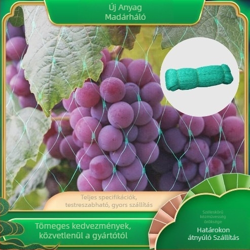 Kertvédő háló | PE anyag | Termények védelme | Yongguan márka | Engedélyezett magánmárka