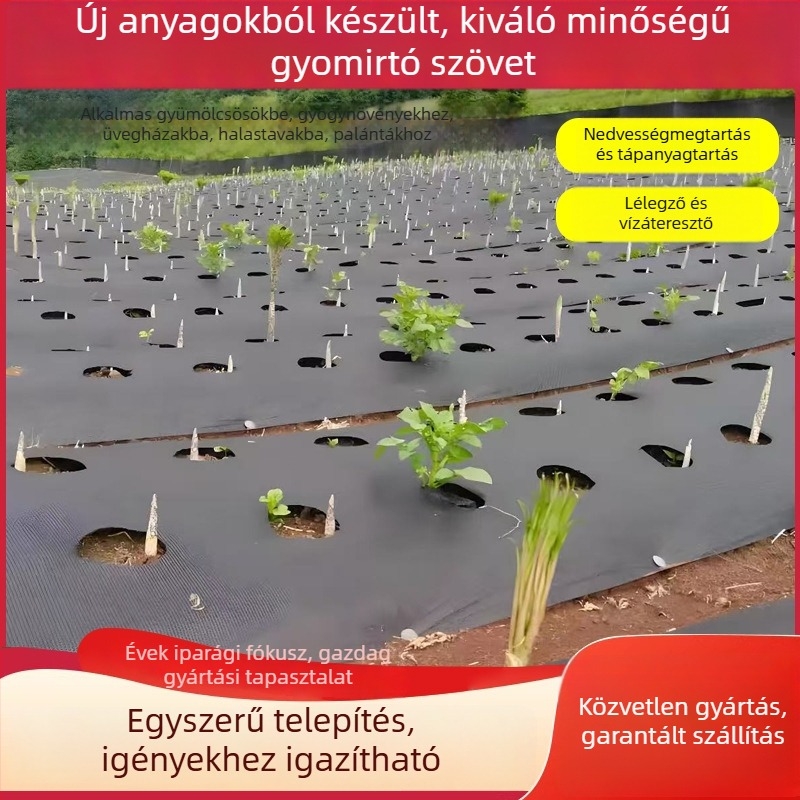 PE gyomvédő szövet ültetvényekhez, gyümölcsfákhoz és citrusokhoz, perforált talajtakaró