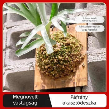 Antler Fern karbonizált falitábla a falra szereléshez