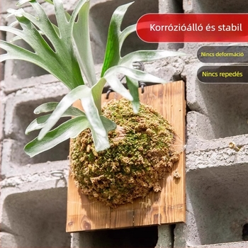 Antler Fern karbonizált falitábla a falra szereléshez