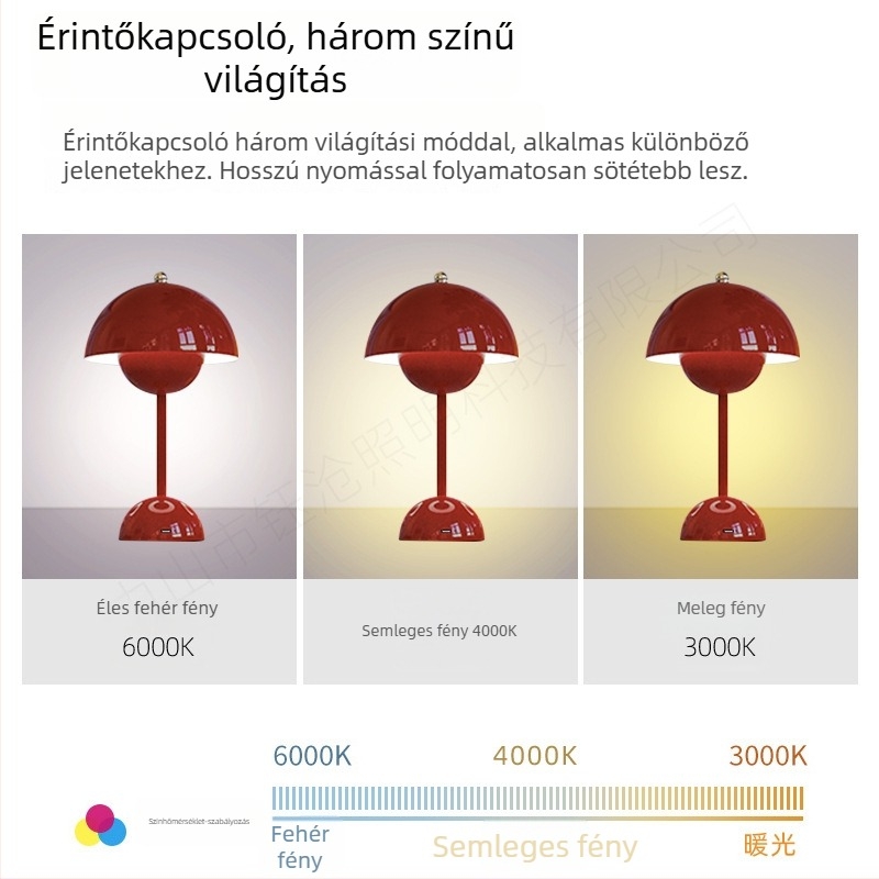LED asztali lámpa pár retro fém dizájnnal, érintéses vezérlés, 5V 3W, modell Yczm-017, környezeti éjszakai fény