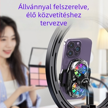 Okostelefonhűtő félvezető hűtéssel, AI hőmérséklet-ellenőrzés, digitális kijelző (modell K19, 5V2A, Type-C, ABS+alumíniumötvözet+kerámia)