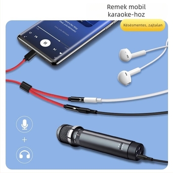 Lianpu Type-C két 3,5 mm-es audio adapter fejhallgatóhoz és mikrofonhoz – 2 az 1-ben, kompatibil Samsung, Google, Huawei, Glory, Xiaomi