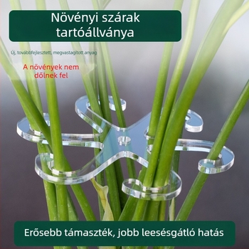 Ágak és törzsek összefogását támogató tartókeret, rizóma stabilizáló kertészeti növényekhez és virágokhoz, Monstera és hasonló növények ellen dőlés elleni eszköz