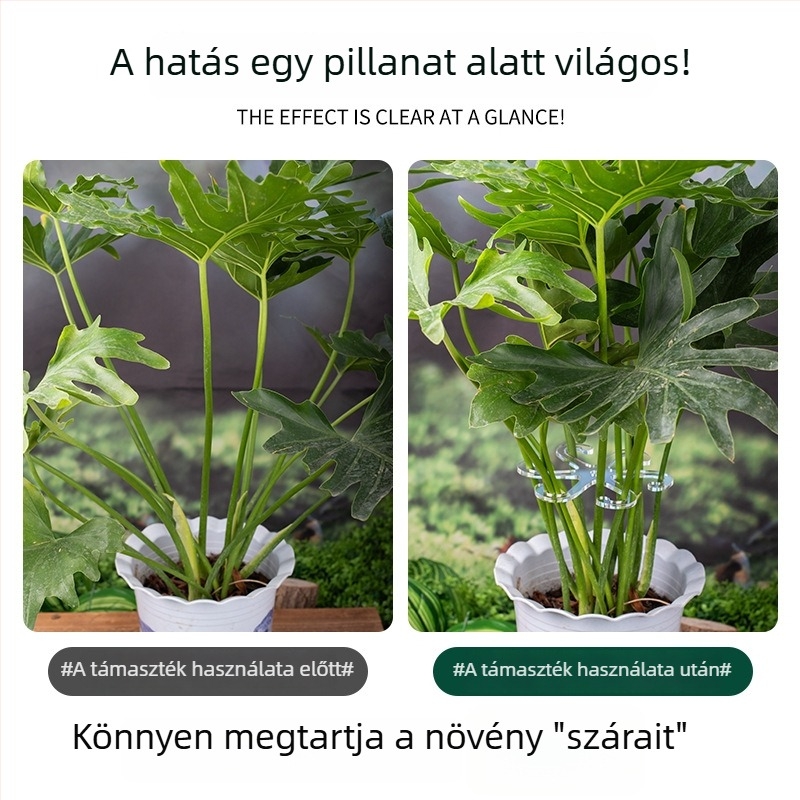 Ágak és törzsek összefogását támogató tartókeret, rizóma stabilizáló kertészeti növényekhez és virágokhoz, Monstera és hasonló növények ellen dőlés elleni eszköz
