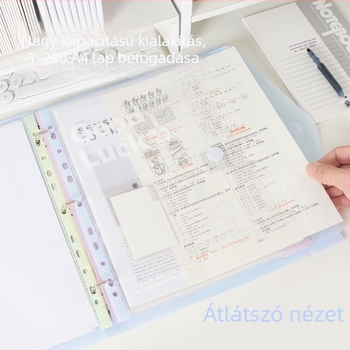 Reversal Fz-4421 – PP anyagú mappa, egyklipsz