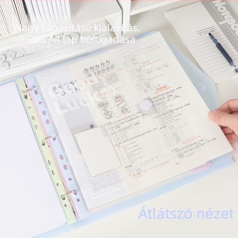 Reversal Fz-4421 – PP anyagú mappa, egyklipsz