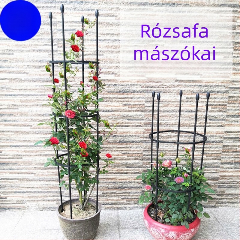 Rózsa virágállvány mászókerítéssel, növénytámasz erkélyre, európai stílus