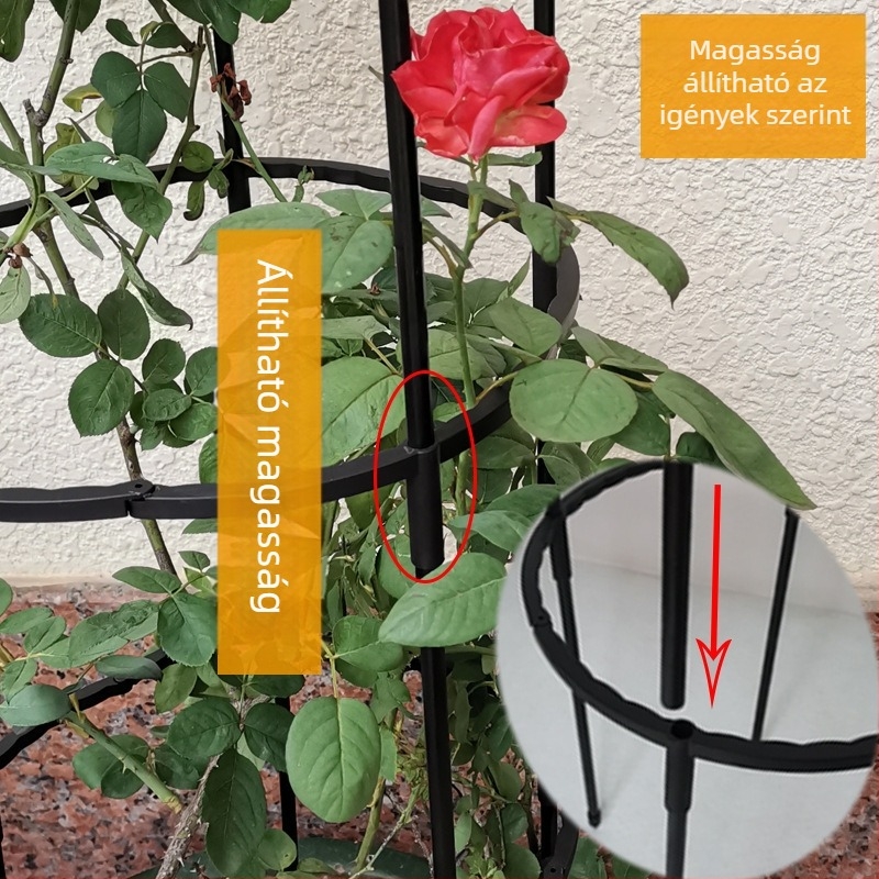 Rózsa virágállvány mászókerítéssel, növénytámasz erkélyre, európai stílus