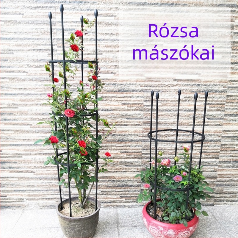Rózsa virágállvány mászókerítéssel, növénytámasz erkélyre, európai stílus