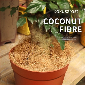 Otthoni kertészethez való készlet kókuszrostból; dekoratív használat; tartalmaz kötődrót/kötél; termékkód Soa06-a092-7-wh1