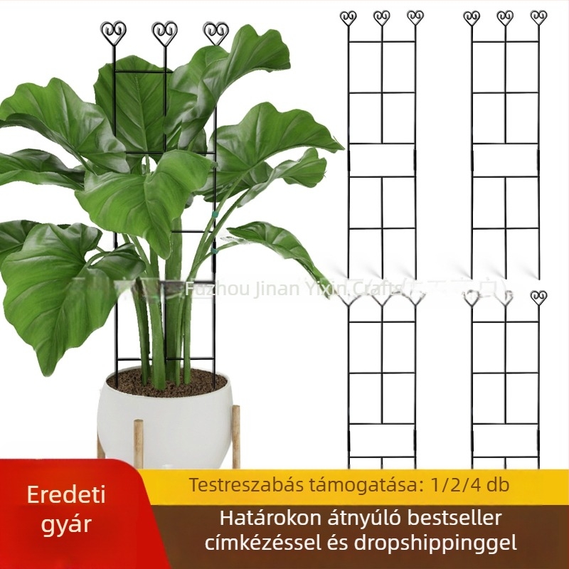 Yixin moduláris rozsdamentes acél növény-támasz – kertészeti dekoratív dísz beltéri növényekhez