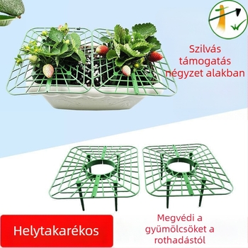 Műanyag virágtartó állvány négyszögletes tálcával – növények támogatása és dőlés elleni védelem