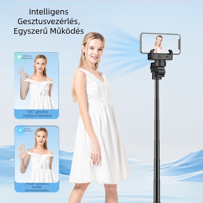 C16 intelligens AI arcfelismerésű egytengelyes stabilizátor, négylábú állvánnyal, Bluetooth távirányítóval, alumíniumötvözet