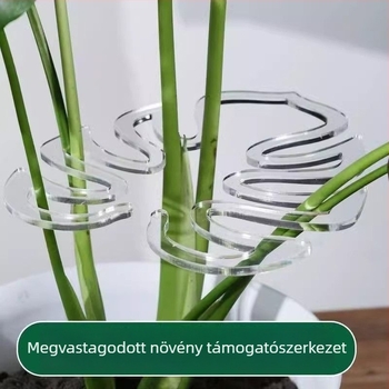 Műanyag növényi támasztó rúd, fix tartó Monstera és Money Tree számára, márka Friendly