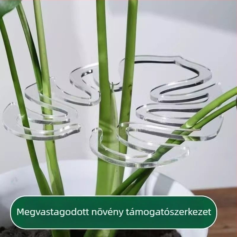 Műanyag növényi támasztó rúd, fix tartó Monstera és Money Tree számára, márka Friendly
