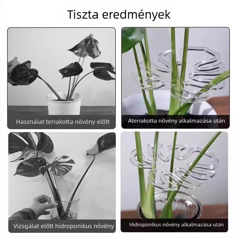 Műanyag növényi támasztó rúd, fix tartó Monstera és Money Tree számára, márka Friendly