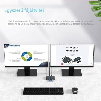 KVM kapcsoló, 2 bemenet, 4 kimenet HDMI, USB megosztás billentyűzet, egér és nyomtató számára, 4K, Windows-kompatibilis, SG-U304