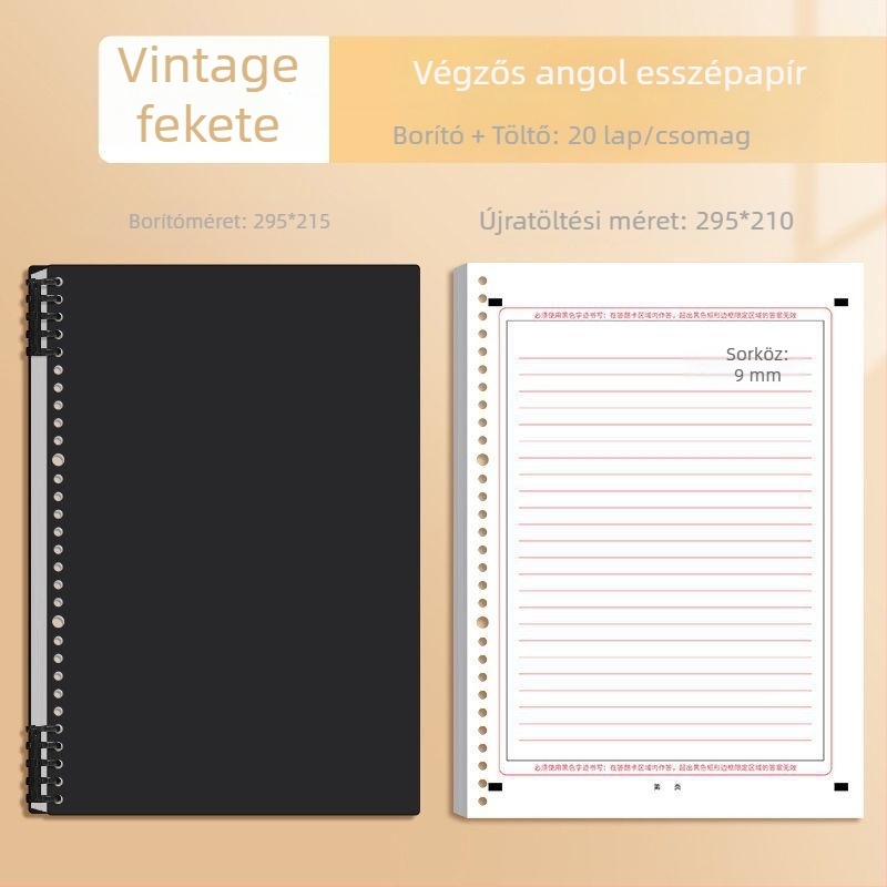 A4-es angol esszépapír vizsgákhoz, 40 oldal, Dowling papír, 10 lyuk, Jiaxun 11123609