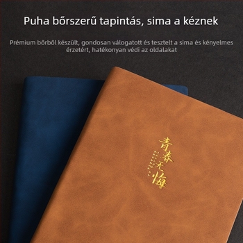 Sijin notesz, műbőr borító, 100–200 oldal, üzleti iroda stílus