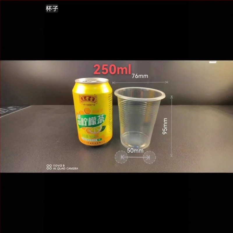 Egyszer használatos műanyag poharak, átlátszó, köralakú, logónyomással, testre szabható, 800 darabos csomag