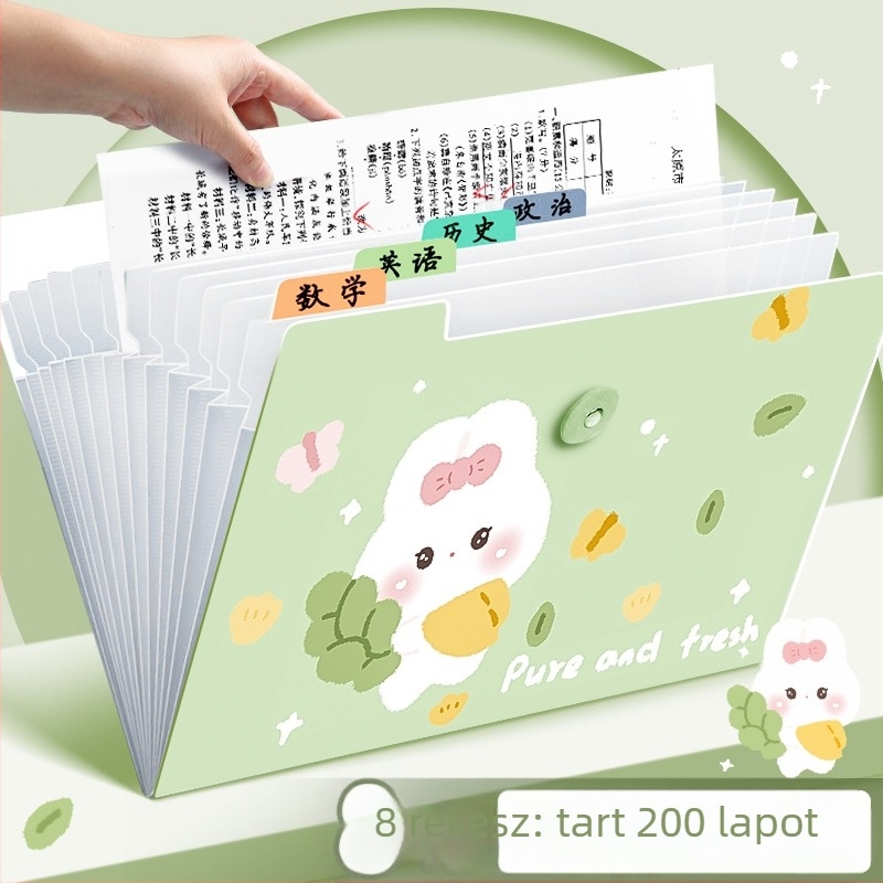 Átlátszó műanyag akordeon mappa dokumentumokhoz, 12 rekesz, 0,6 mm vastagság