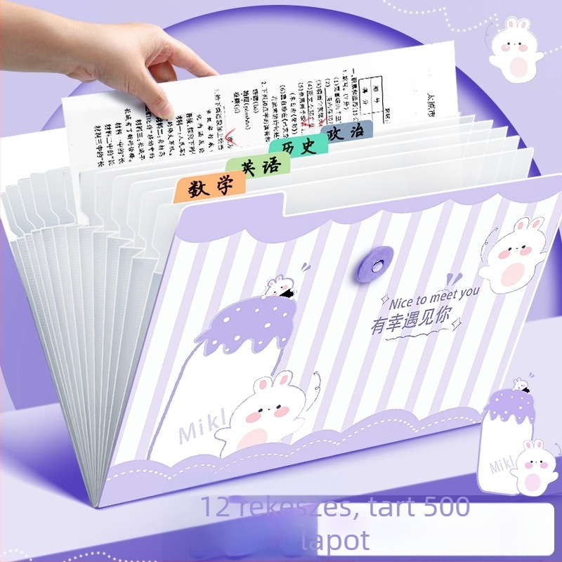 Átlátszó műanyag akordeon mappa dokumentumokhoz, 12 rekesz, 0,6 mm vastagság