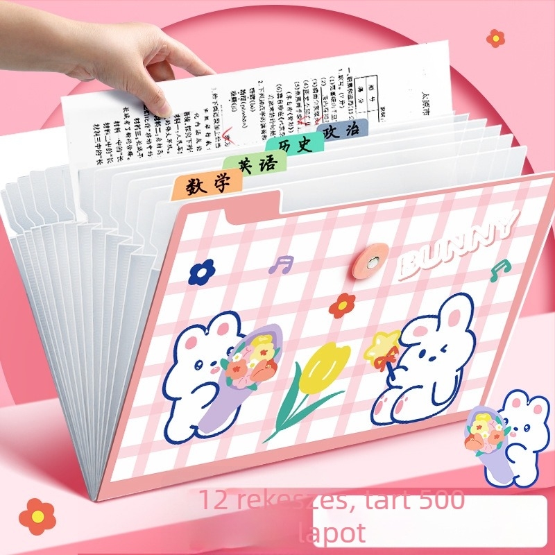 Átlátszó műanyag akordeon mappa dokumentumokhoz, 12 rekesz, 0,6 mm vastagság