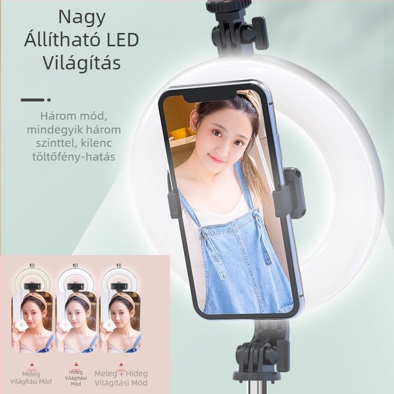 P20D rozsdamentes acél LED gyűrű lámpa Bluetooth-selfie stick – univerzális állvány, licencelt magáncímke, testreszabás támogatott