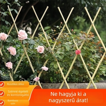 Teleszkópos bambusz kerítés kültéri kerthez, kertrész elválasztó, korrózióálló bambusz oszlopok, szénizált bambusz tájépítéshez