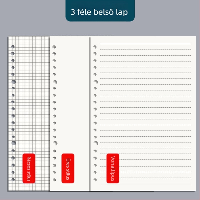 B5-ös nyolclyukú notesz, leválasztható spirállal, A5-ös méret, egyszerű és vastag, diákoknak
